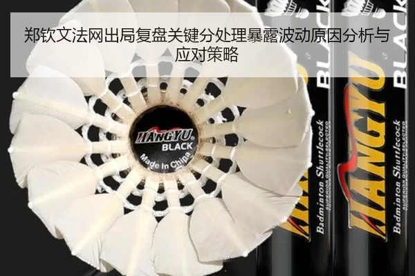 郑钦文法网出局复盘关键分处理暴露波动原因分析与应对策略